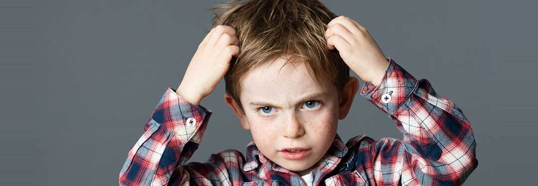 הקיץ בפתח ומכת הכינים כבר כאן